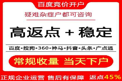 竞价广告赚钱：百度平台案例分析